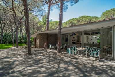 Prenota adesso la tua vacanza a Roccamare in Toscana in questa meravigliosa  villa privata in affitto a pochi passi dal mare a Roccamare in Grosseto a