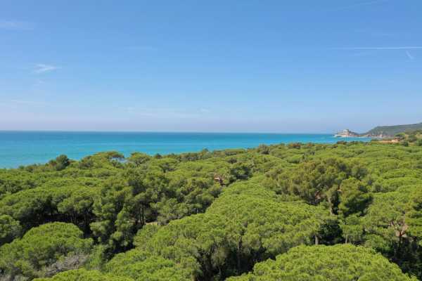 Book now your holiday in Castiglione della Pescaia in Tuscany in this beautiful private villa on the sea in the pine forest of Roccamare 30