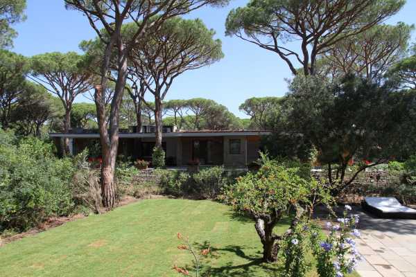 Book now your holiday in Castiglione della Pescaia in Tuscany in this beautiful private villa on the sea in the pine forest of Roccamare 15