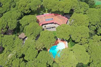 Prenota adesso la tua vacanza a Roccamare in Toscana in questa grande villa privata in affitto a pochi passi dal mare con piscina a Roccamare, Toscana