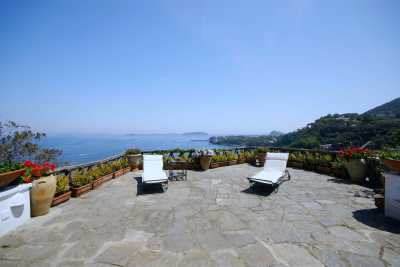 Prenota adesso la tua vacanza a Ischia in Campania in questa meravigliosa villa privata con piscina sul mare a Ischia in provincia di Napoli affitta v