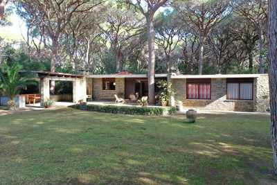 Affitta la tua Vacanza in questa bellissima villa in affitto a Roccamare in provincia di Grosseto a Castiglione della Pescaia in Toscana, villa vicino