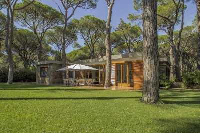 Prenota la tua vacanza in una villa in affitto della Pineta di Roccamare nella costa Toscana in Castiglione della Pescaia 