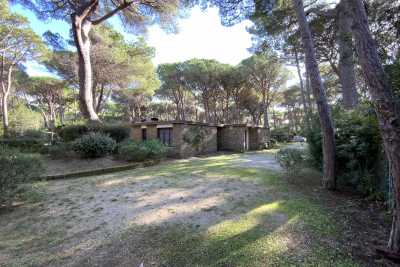 Seafront holiday villa with direct access to the beach of Roccamare Castiglione della Pescaia Toscana, pine forest of Roccamare