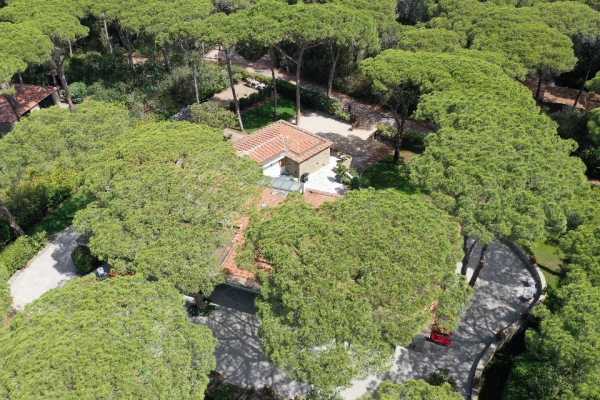 Book now your holiday in Castiglione della Pescaia in Tuscany in this beautiful private villa on the sea in the pine forest of Roccamare 8