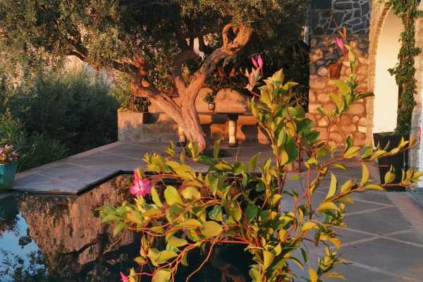 Holidays in Capri in a house for rent with swimming pool and Jacvuzzi and sea view of the Faraglioni 19