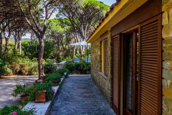 Book now your holiday Castiglione della Pescaia, Grosseto in Tuscany private villa near the sea, immersed in a beautiful pristine park 16
