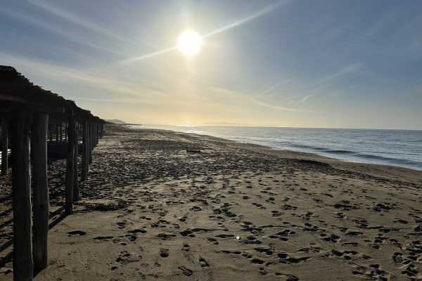 villa for rent for vacation with swimming pool, park and private and exclusive beach place in the Roccamare pine forest 17