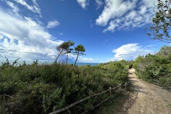 villa for rent for vacation with swimming pool, park and private and exclusive beach place in the Roccamare pine forest 18