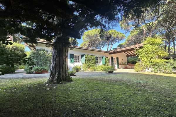 villa for rent for vacation with swimming pool, park and private and exclusive beach place in the Roccamare pine forest 3